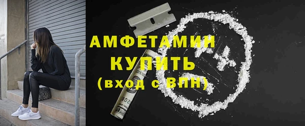 твердый Бородино