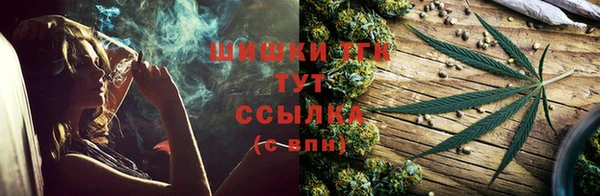 твердый Бородино