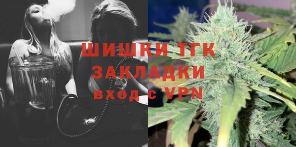 твердый Бородино